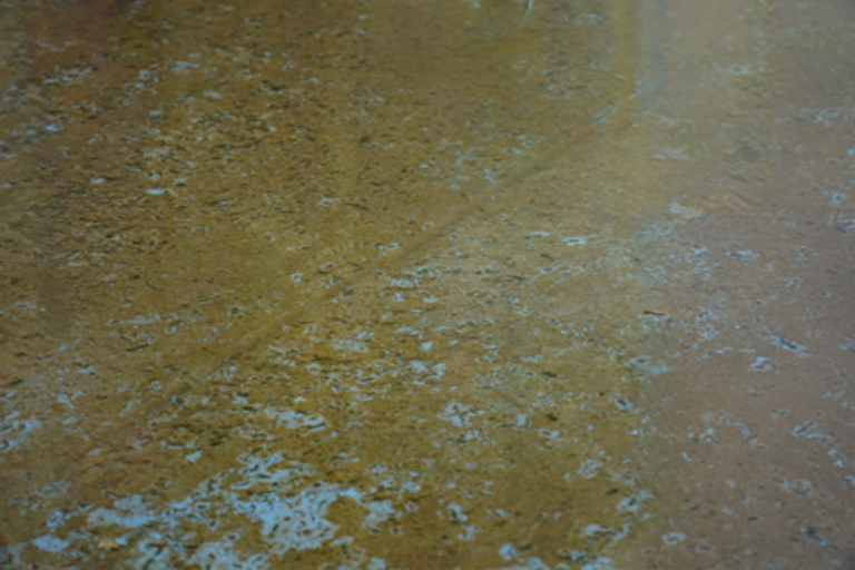Transmission layer DSC05751